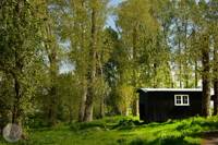 Shepherd's hut with lovely views of the East Sussex countryside