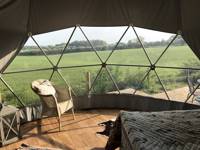 Glamping Dome