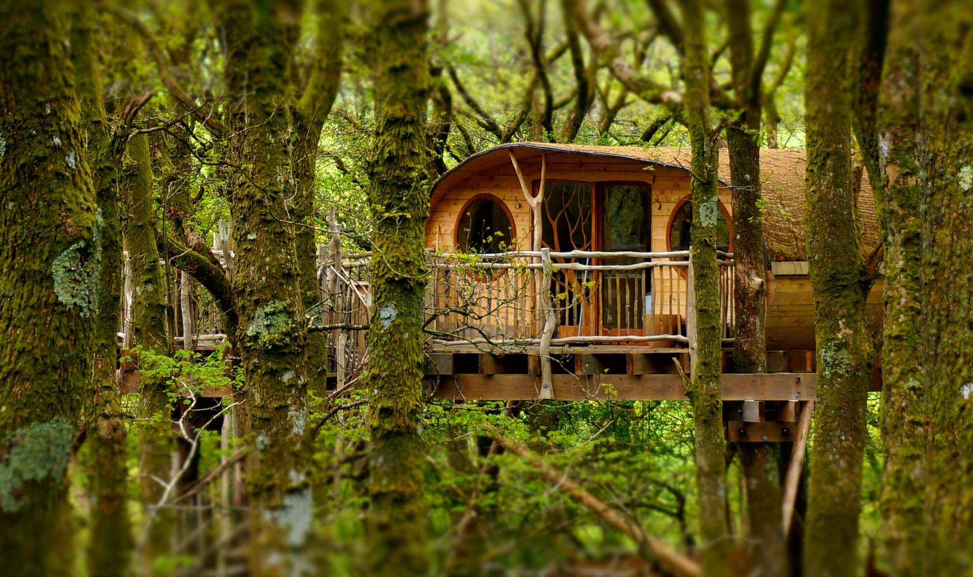 treehouse accommodation Treehouse nsw rooftopantics - Led Bathroom Mirror