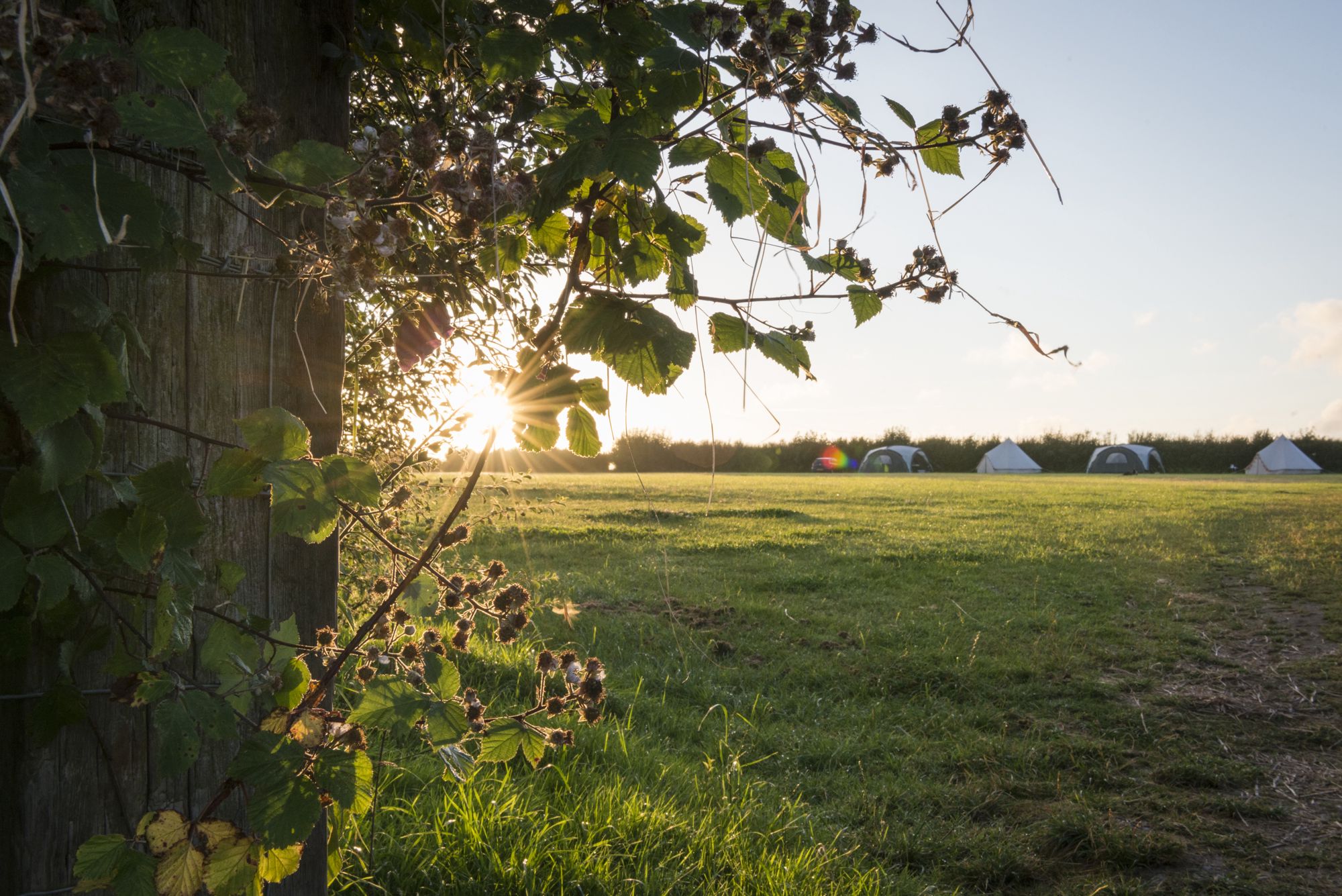 Campsites in Chulmleigh, Winkleigh & Umberleigh holidays at Cool Camping