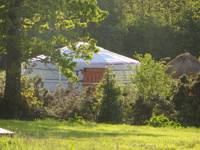 Owl Yurt