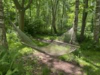 Tawny Bell Tent