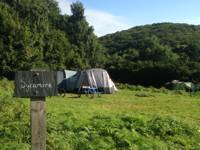 Family Field Grass Tent Pitch