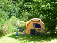 Woodland tent pitch