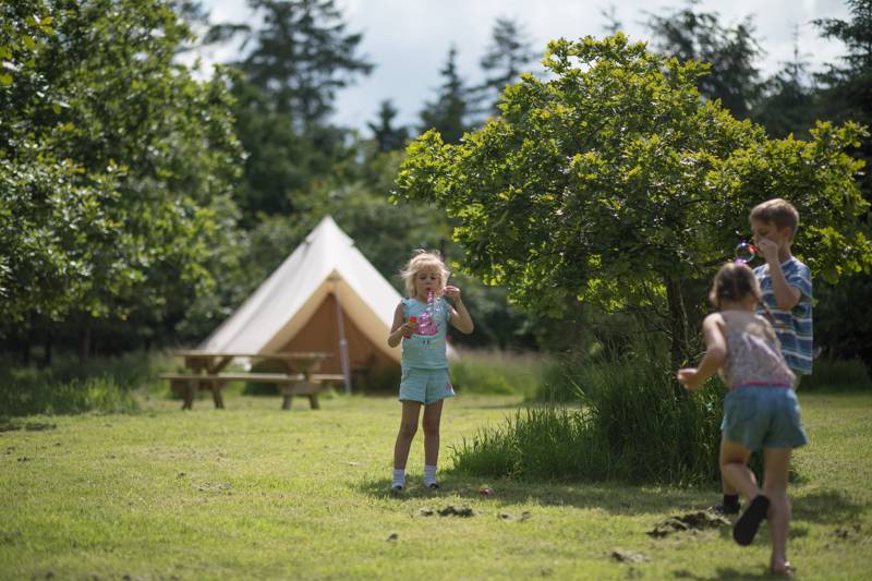 Amber's Bell Tent Camping at Hopton Court Estate The Riddings, Woodhouse Road, Hopton Wafers, Shropshire, DY14 0JL