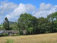 The Hayloft