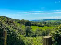 Little Coppet Landpod