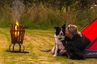 Grass Tent Camping Pitch