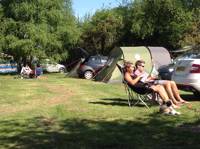 Couple/adult pitch
