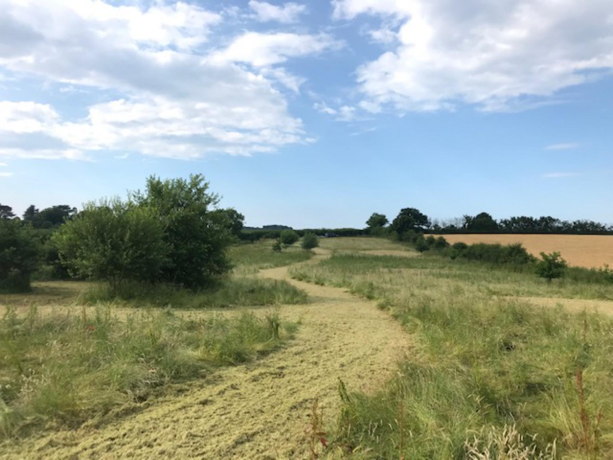 Campsites in Holt – Cool Camping