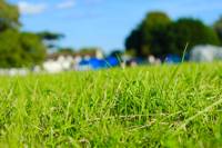 Grass pitch
