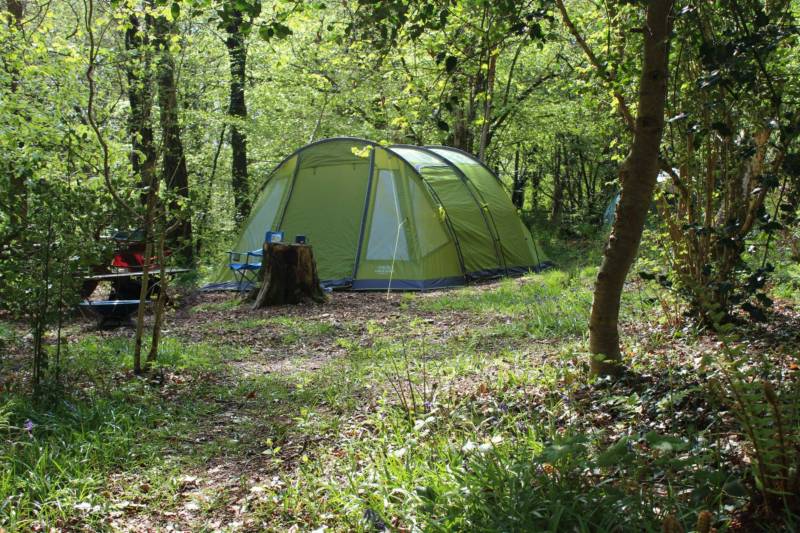 Honeysuckle Woodland Pitch