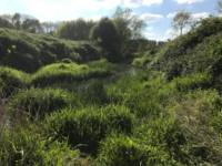 Yalding Wild Camping