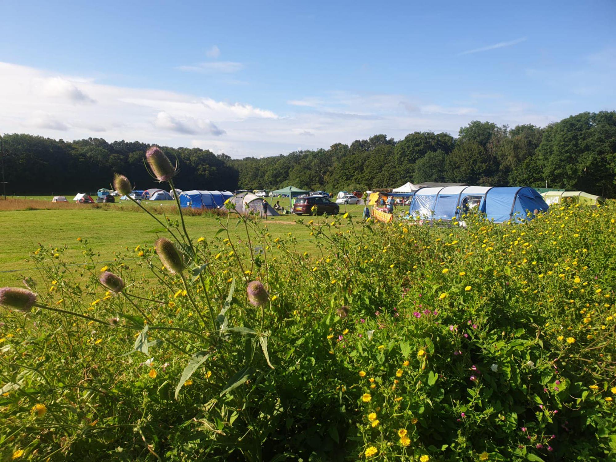 Campsites in East Sussex I Love This Campsite