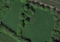 Whole Site
