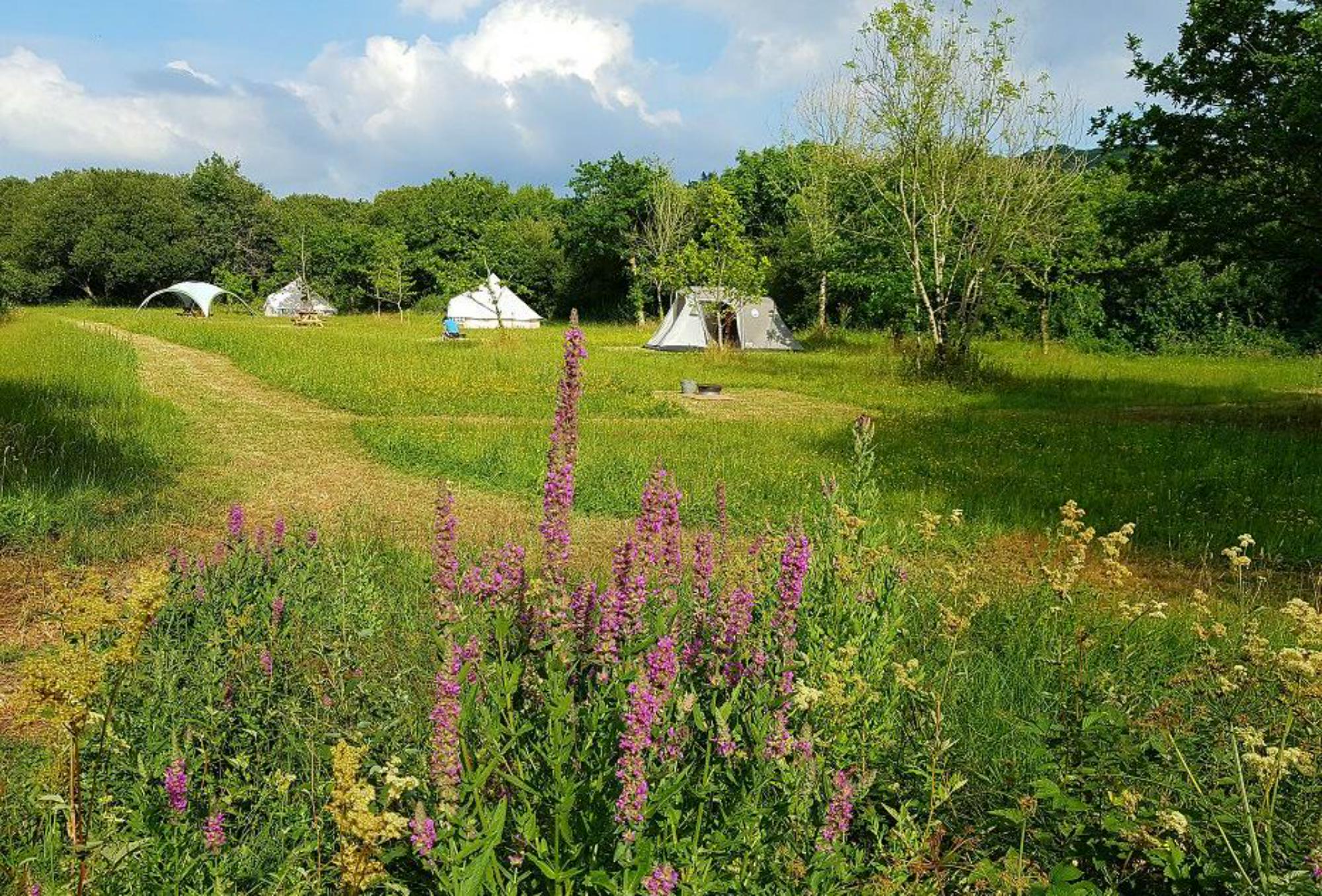 Cynefin Eco Camping