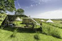 Yurt - Bertie