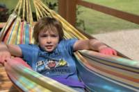 Silverbird Airstream Caravan