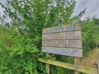 Lower Meadow camping pitch (1 tent or 1 van)