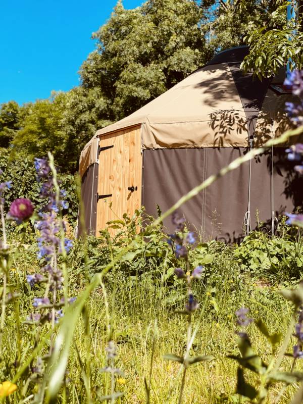 Mugwort Yurt