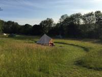 Grass pitch