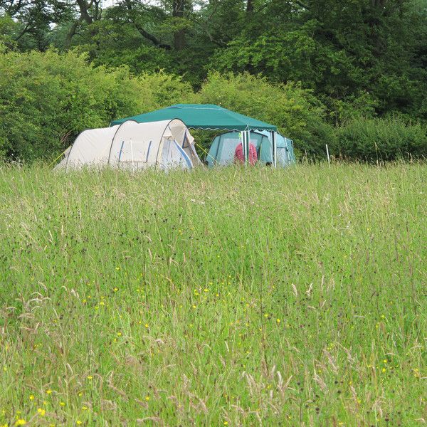 Camping Pitch Grown Ups Area 21 at Greenhillock Glamping & Camping I