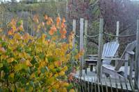 Rowan Yurt