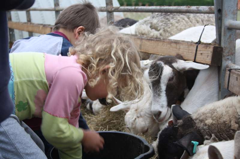 Small grass pitch for tents only - campsite 1