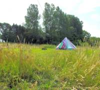 Cresselly Bell Tent