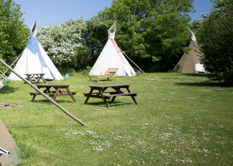 Large Tipi 3 - Village Field