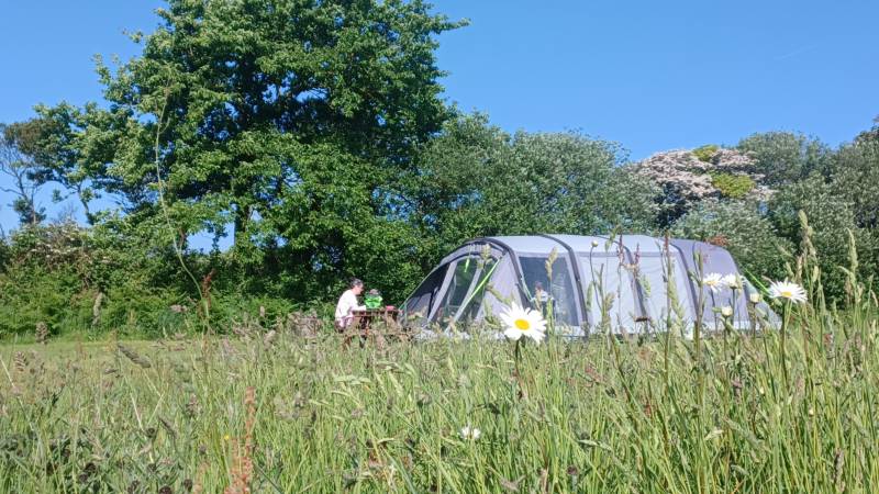 Grass Pitch Tents Only 2