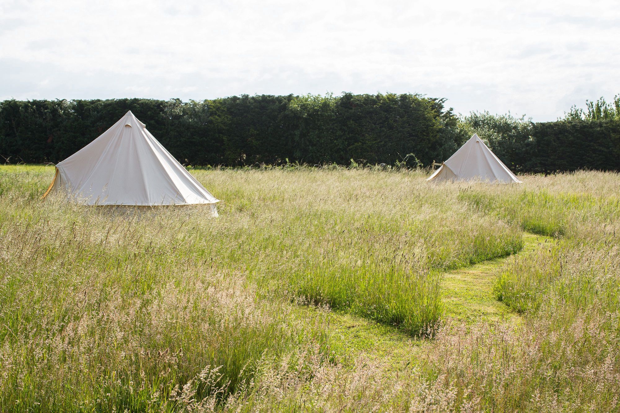 Campsites in Suffolk – The best independent campsites in Suffolk – Cool Camping