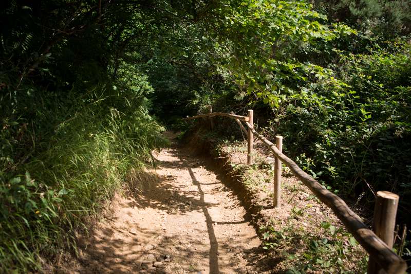 Sky 5 - Wild Camping - Private Pitch