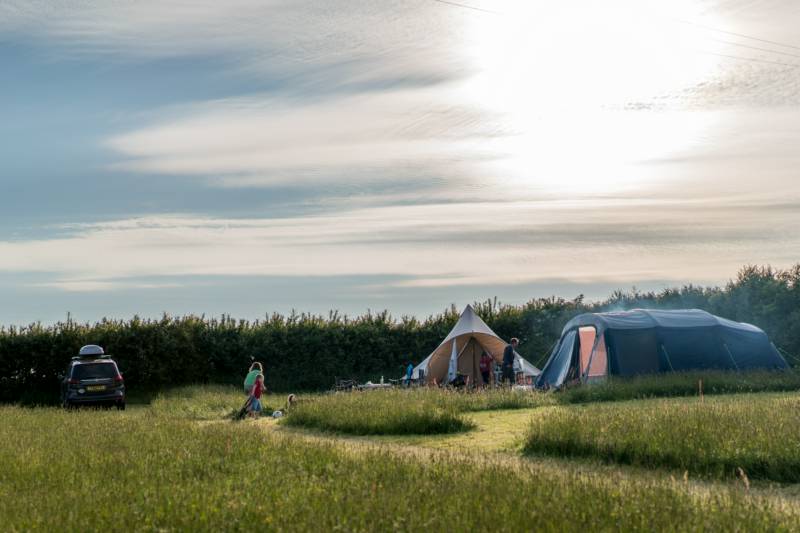 NonElectric Standard Grass Pitch