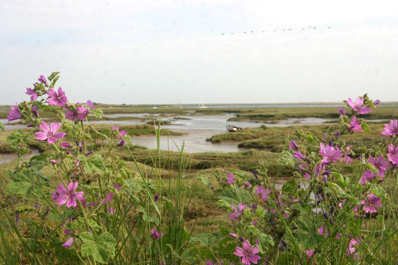 The Norfolk Coast Path at Brancaster Staithe