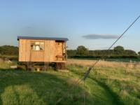 Cedar Cabin Wagon