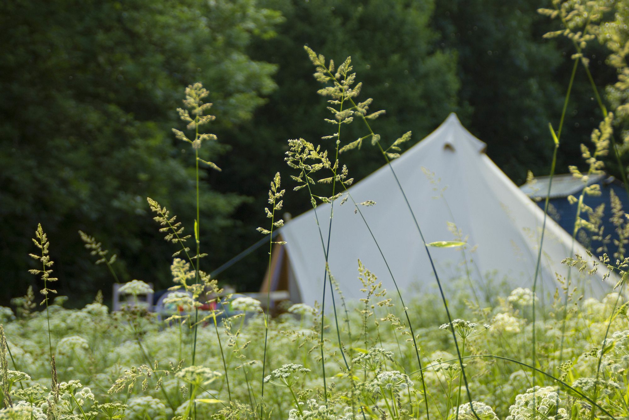 New Campsites – Brand new campsite openings in the last year
