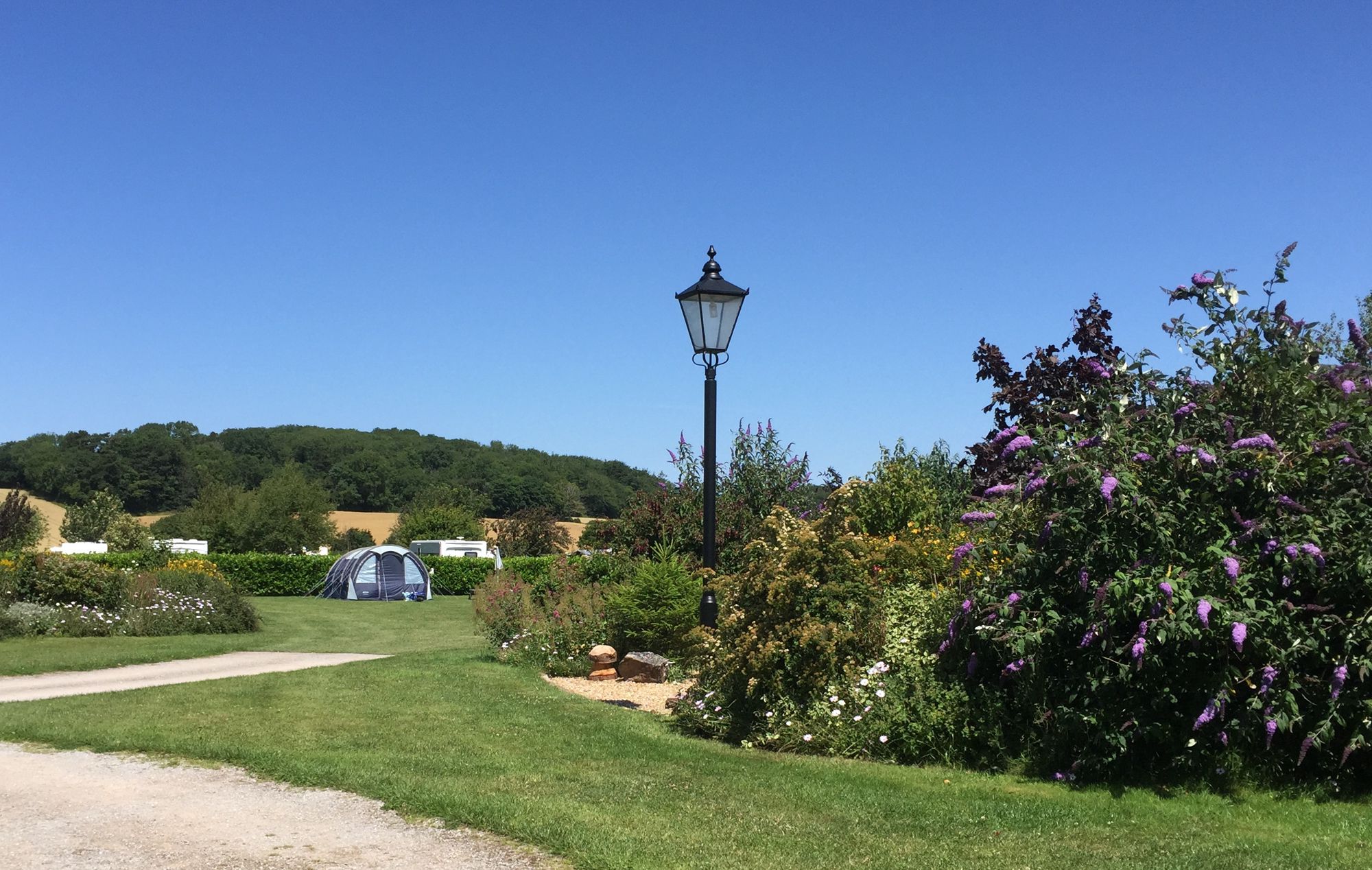 Campsites in the Quantock Hills Area of Outstanding Natural Beauty