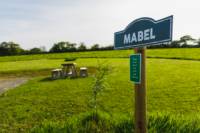Mabel - Ensuite Campervan or Tent pitch