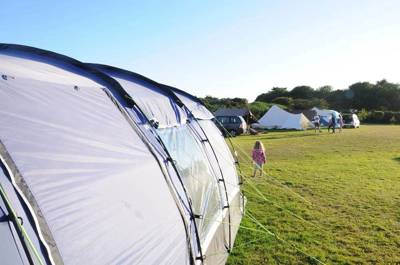 Grass pitch with electric