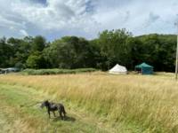 Bell Tent