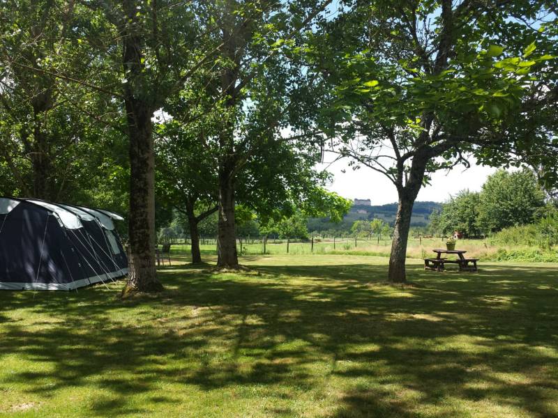 (RT) Rental Tent