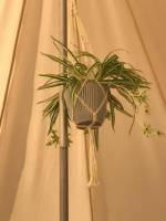 Willow, private 6M Bell Tent