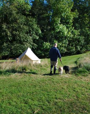 Glamping with your dog: top tips