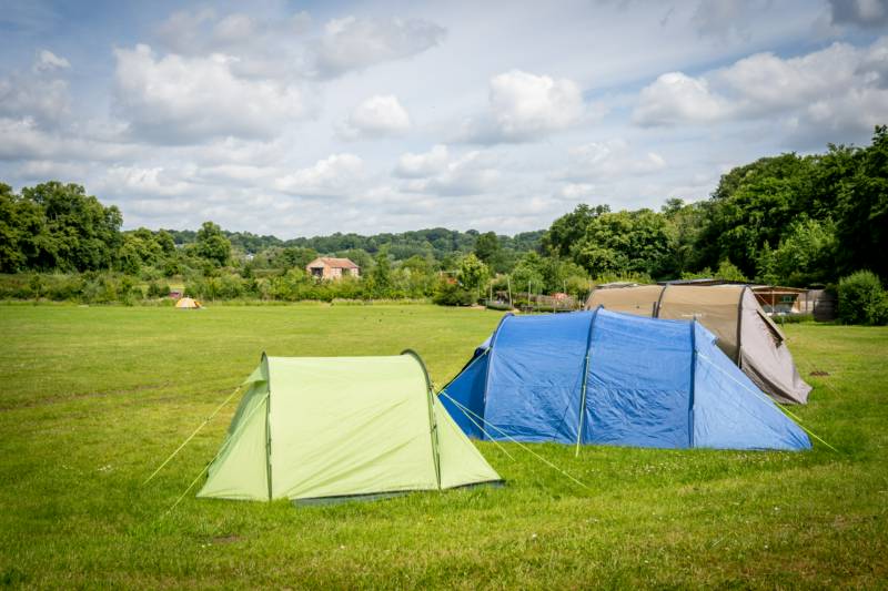 Upper Meadow TENT pitch (vehicle free field)