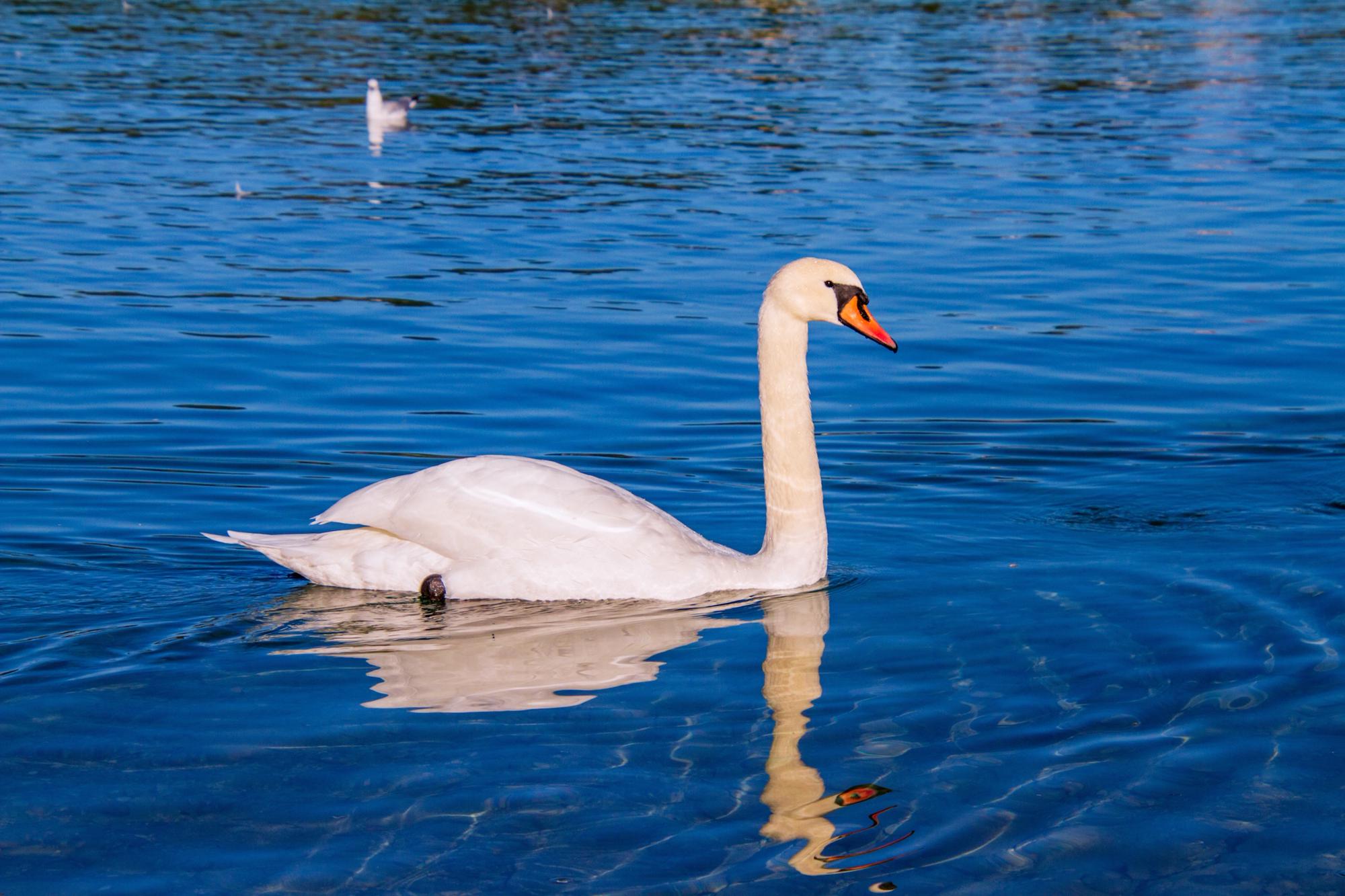 Burnham-on-Crouch Camping | Campsites Near Burnham-on-Crouch