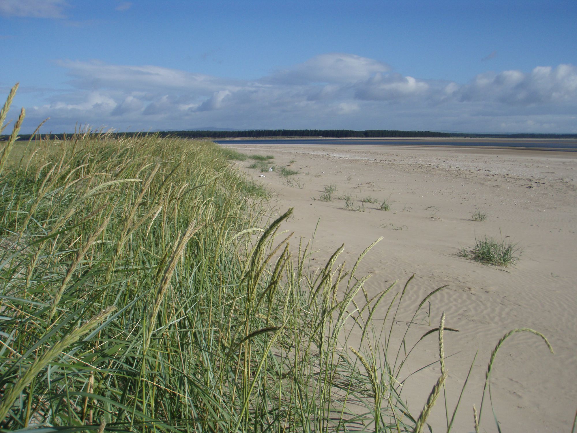 West Sands