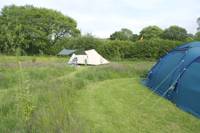 Grass Pitch