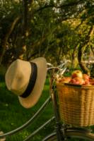 The Orchard