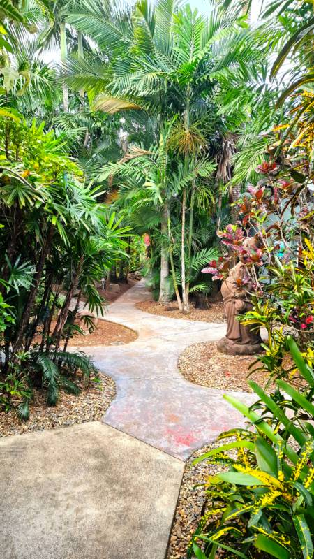 Rainforest Queen Room